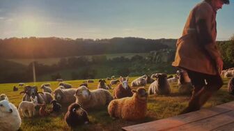 The Sheep Detectives 2026 1080p TELESYNC MULTi x264-DKS