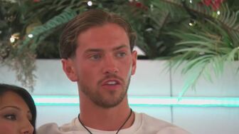 Love Island S13E38-HDTV-X264-NGP